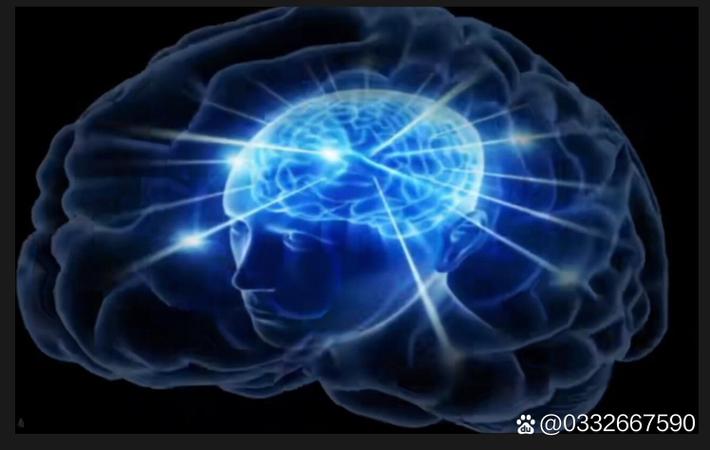 网友实名举报某餐厅后厨卫生问题，附视频证据，官方已介入调查
